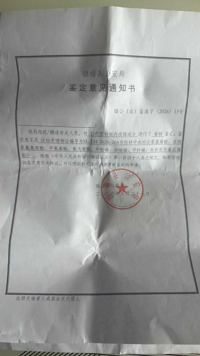 布局七年，伊利“篮”不住的热爱