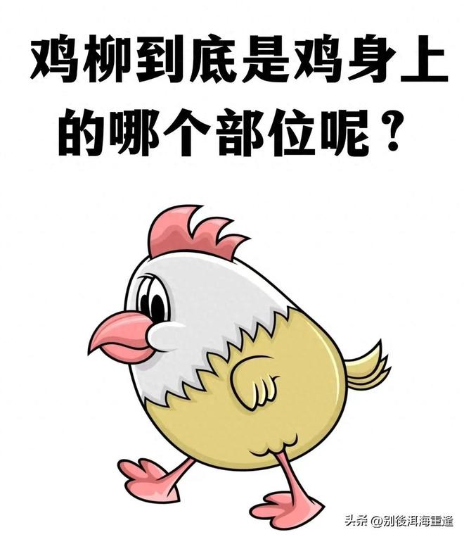 再次无缘冠军无碍德约伟大，他又在温网创造了什么？