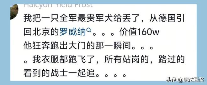 为何没选周琦赵睿张镇麟？郭士强说得很直白，太务实了，好样的！